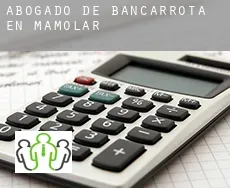 Abogado de bancarrota en  Mamolar