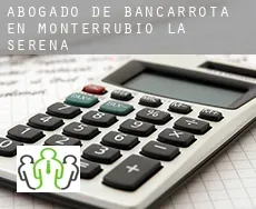 Abogado de bancarrota en  Monterrubio de la Serena