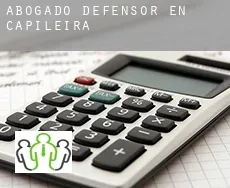 Abogado defensor en  Capileira