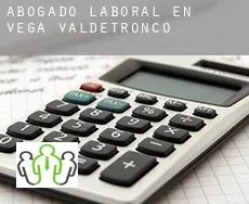 Abogado laboral en  Vega de Valdetronco
