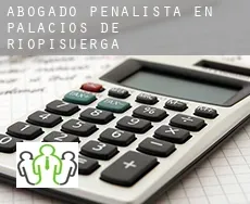 Abogado penalista en  Palacios de Riopisuerga