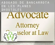 Abogado de bancarrota en  les Planes d'Hostoles