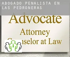 Abogado penalista en  Las Pedroñeras