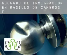 Abogado de inmigración en  Rasillo de Cameros (El)
