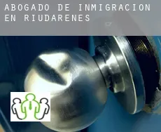 Abogado de inmigración en  Riudarenes