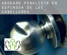 Abogado penalista en  Espinosa de los Caballeros