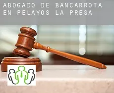 Abogado de bancarrota en  Pelayos de la Presa