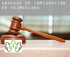 Abogado de inmigración en  Vozmediano