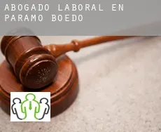 Abogado laboral en  Páramo de Boedo