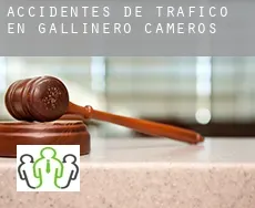 Accidentes de tráfico en  Gallinero de Cameros