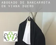 Abogado de bancarrota en  Viana de Duero