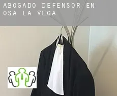 Abogado defensor en  Osa de la Vega