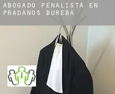 Abogado penalista en  Prádanos de Bureba