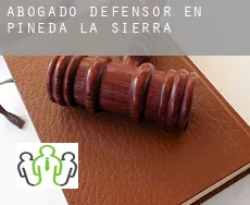 Abogado defensor en  Pineda de la Sierra