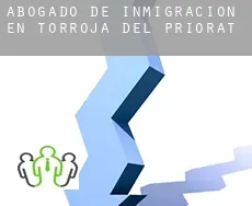 Abogado de inmigración en  Torroja del Priorat