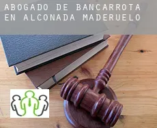 Abogado de bancarrota en  Alconada de Maderuelo