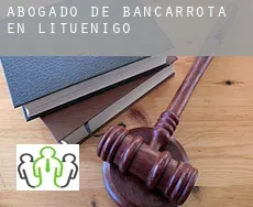 Abogado de bancarrota en  Lituénigo