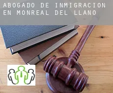Abogado de inmigración en  Monreal del Llano