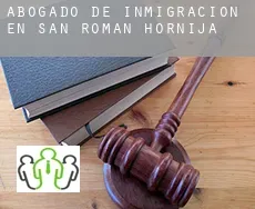 Abogado de inmigración en  San Román de Hornija