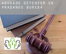 Abogado defensor en  Prádanos de Bureba