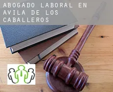 Abogado laboral en  Ávila de los Caballeros