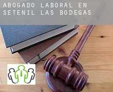 Abogado laboral en  Setenil de las Bodegas