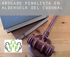Abogado penalista en  Aldehuela del Codonal
