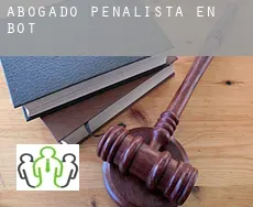 Abogado penalista en  Bot