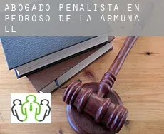 Abogado penalista en  Pedroso de la Armuña (El)