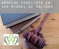 Abogado penalista en  San Miguel de Salinas