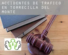Accidentes de tráfico en  Torrecilla del Monte