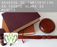 Abogado de inmigración en  Fuente Álamo de Murcia