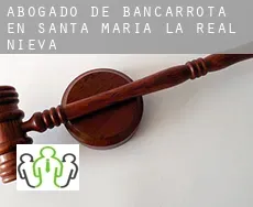 Abogado de bancarrota en  Santa María la Real de Nieva