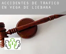 Accidentes de tráfico en  Vega de Liébana