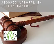 Abogado laboral en  Brieva de Cameros
