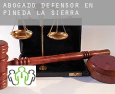 Abogado defensor en  Pineda de la Sierra