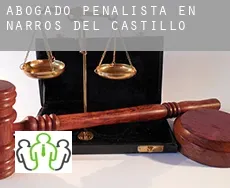 Abogado penalista en  Narros del Castillo
