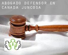 Abogado defensor en  Cañada Juncosa