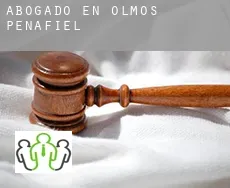 Abogado en  Olmos de Peñafiel