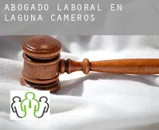 Abogado laboral en  Laguna de Cameros