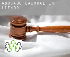Abogado laboral en  Liendo