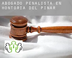 Abogado penalista en  Hontoria del Pinar