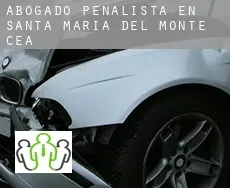 Abogado penalista en  Santa María del Monte de Cea