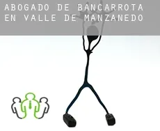 Abogado de bancarrota en  Valle de Manzanedo