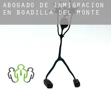 Abogado de inmigración en  Boadilla del Monte