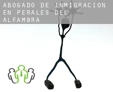 Abogado de inmigración en  Perales del Alfambra