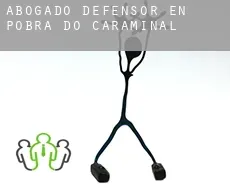 Abogado defensor en  Pobra do Caramiñal