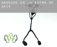 Abogado en  la Riera de Gaià