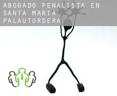 Abogado penalista en  Santa Maria de Palautordera