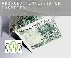 Abogado penalista en  Cospeito
